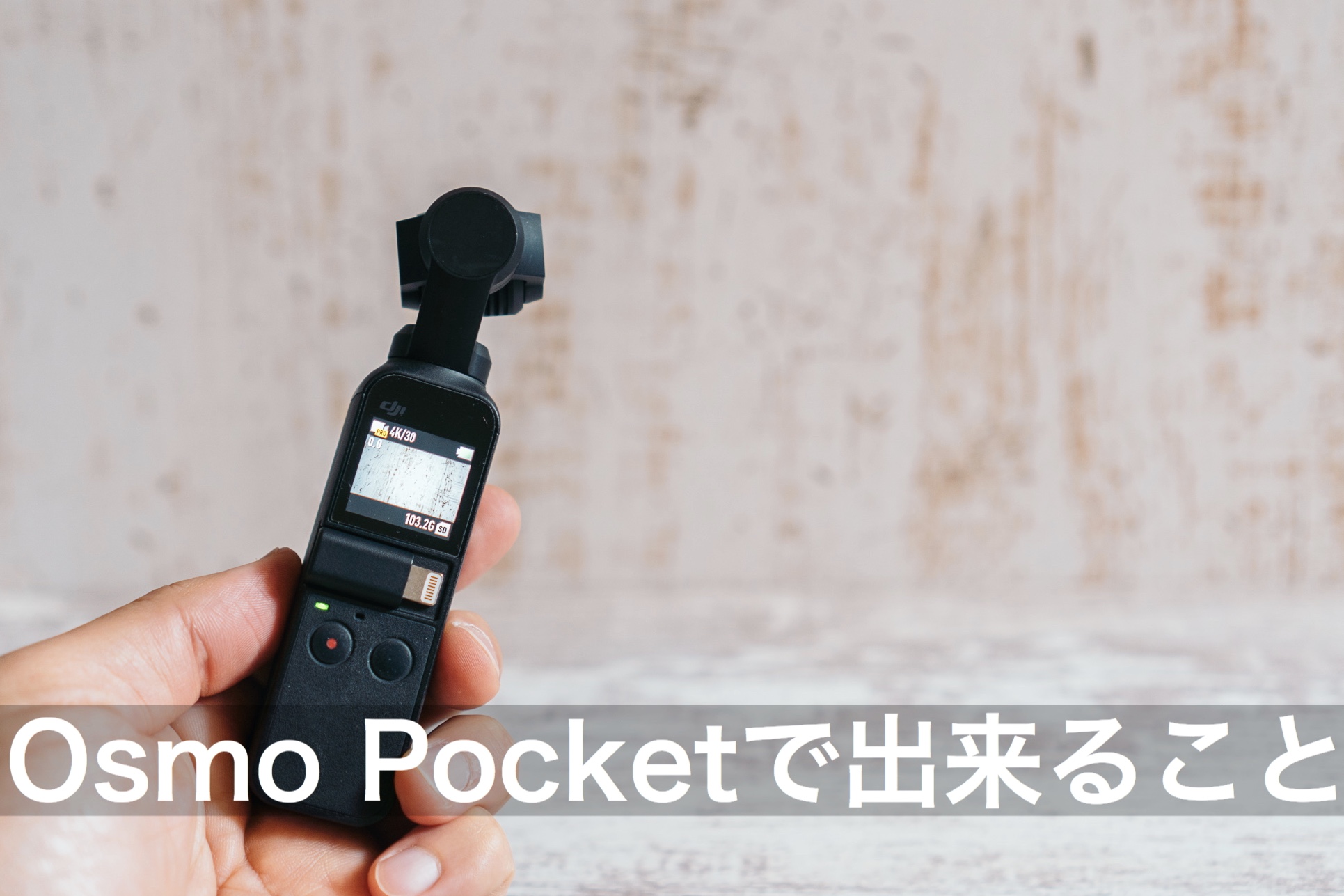 Osmo Pocket レビュー】 オズモポケットで出来ること | Photo Journal 